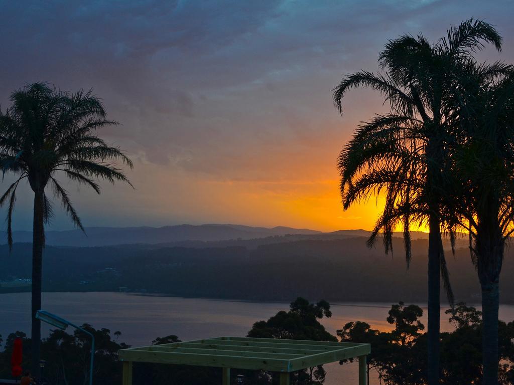Norfolk Pines Motel Merimbula Esterno foto